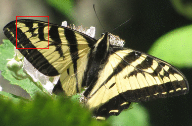 aktive op draw box on @1 center {64 64} ewidth 32 eheight 32 color {1 0 0} outlined 1