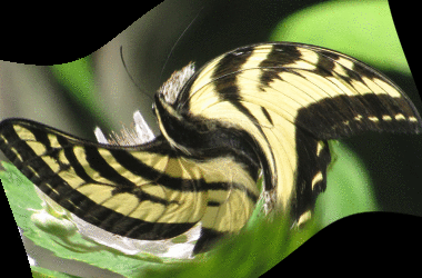 aktive effect swirl @1 decay 0.01 from 135