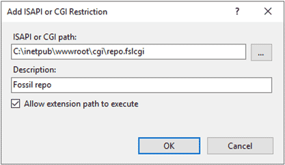 IIS CGI execute permission